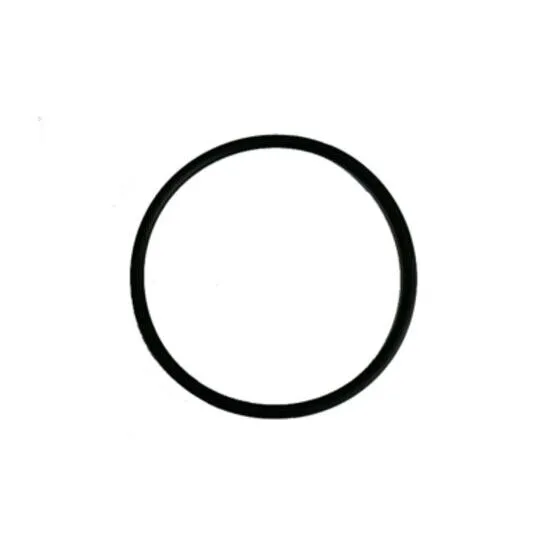 O-Ring zu Siphon Klarsichttasse