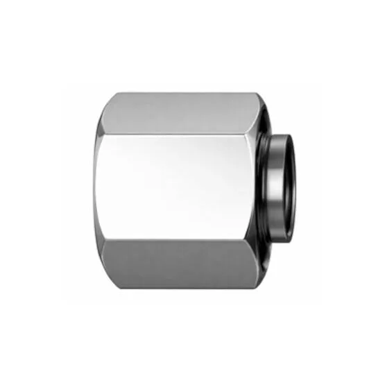 Blindstopfen mit O-Ring