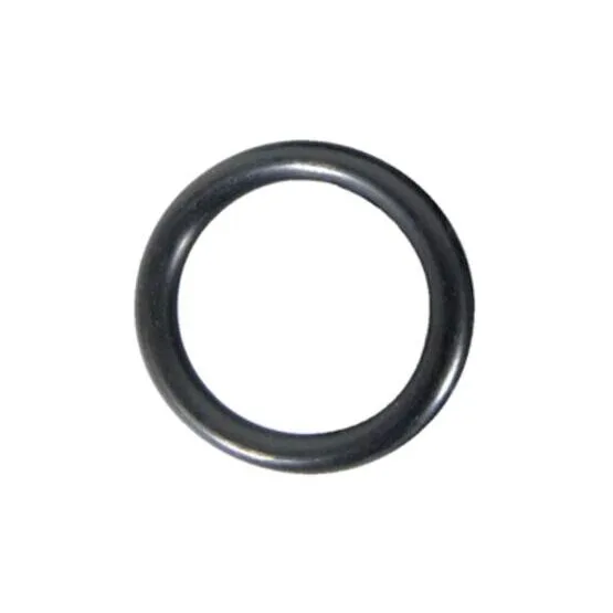 O-Ring zu Schlauglas 2"