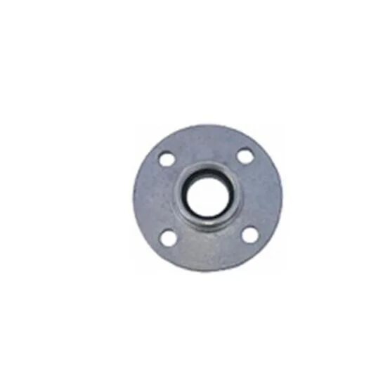 Flansch PN 16 mit Innengewinde, Aluminium, STORZ-System