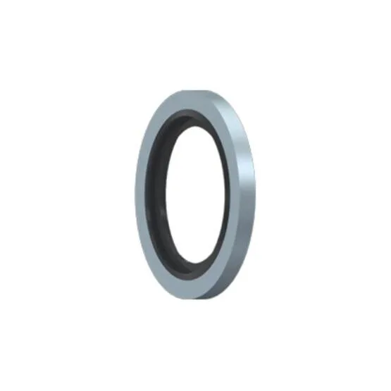 Verbund-Dichtring BSP