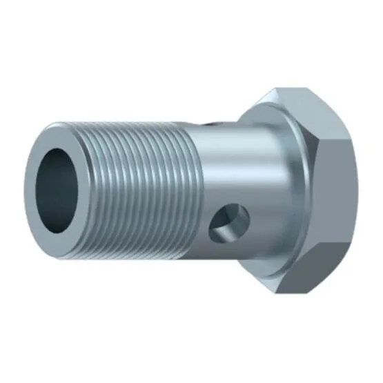 Hohlschraube BSP