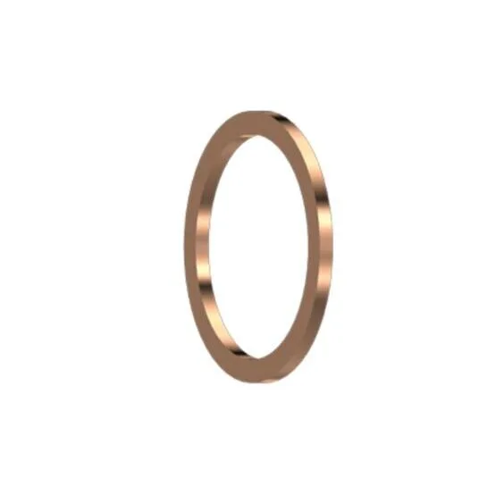 Dichtring