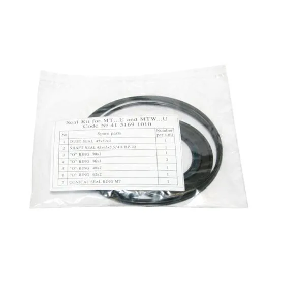 Dichtsatz zu Hydromotor